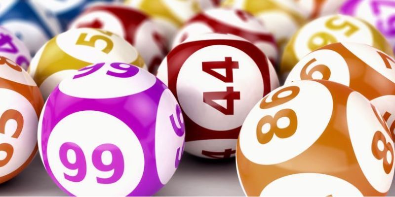 Một vài hình thức giải trí hot tại TP Lottery VIPwin